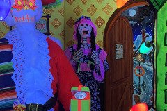 IMG_8246