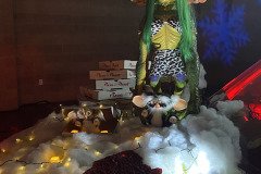 IMG_8249