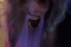IMG_8254