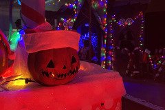 IMG_8261