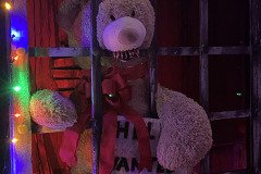 IMG_8263