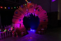 IMG_8264