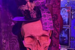 IMG_8283