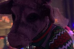IMG_8287