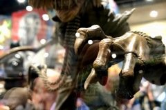 IMG_9798