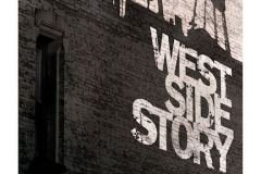 WSS_Shadow_Teaser_27x40_sRGB