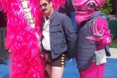 Pink Chewbacca and Ackbar, and Hot Pants Han