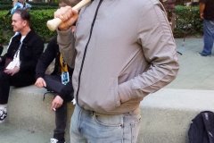 Steve from Stranger Things