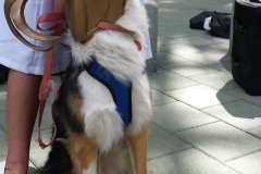 A very good Loki
