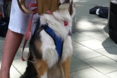 A very good Loki