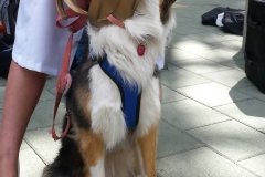 A very good Loki