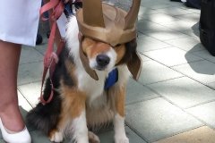 A very good Loki