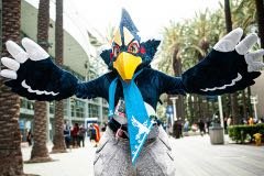 Revali Breath of the Wild