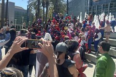 IMG_9172-copy