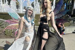 IMG_9205-copy