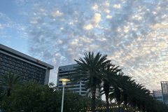 IMG_9237-copy