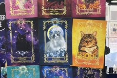IMG_3213
