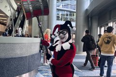 IMG_3229