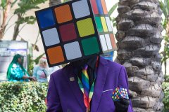 IMG_2460