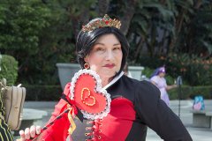 IMG_2464