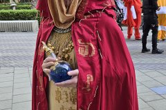 Cosplay by @buncha.mullarkey on Instagram